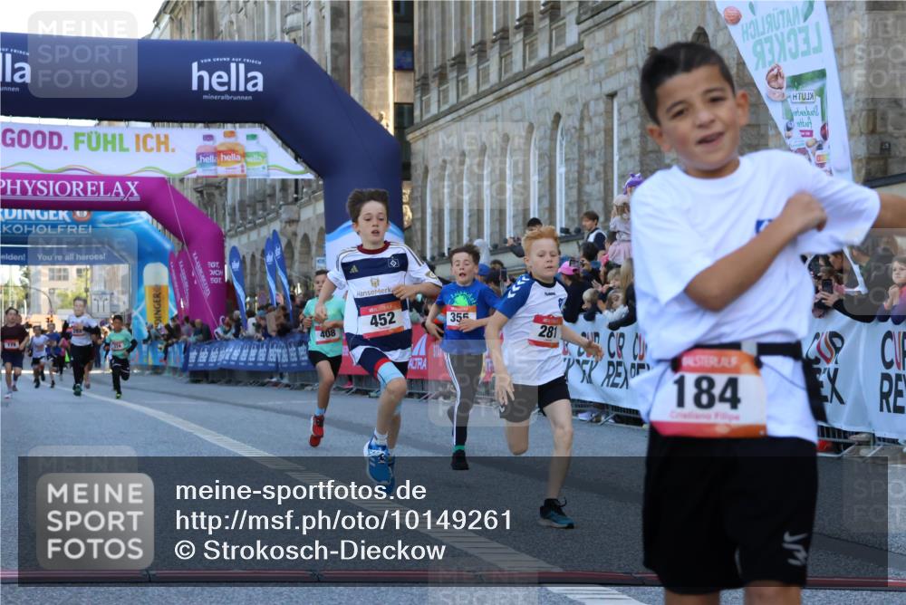 06.09.2026 - CURREX Alsterlauf Strokosch-Dieckow http://msf.ph/oto/10149261 06.09.2026 10:52:45 Ziel 161, 182, 184, 268, 281, 293, 355, 408, 409, 452 meine-sportfotos.de