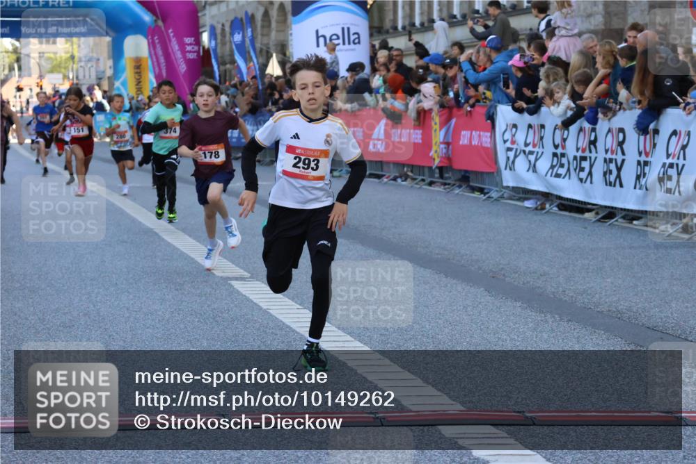 06.09.2026 - CURREX Alsterlauf Strokosch-Dieckow http://msf.ph/oto/10149262 06.09.2026 10:52:50 Ziel 151, 178, 184, 223, 281, 293, 355, 374, 388, 408, 452 meine-sportfotos.de