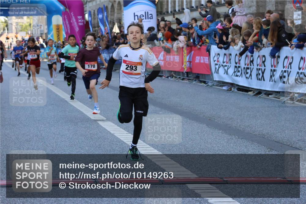 06.09.2026 - CURREX Alsterlauf Strokosch-Dieckow http://msf.ph/oto/10149263 06.09.2026 10:52:50 Ziel 151, 178, 184, 223, 281, 293, 355, 374, 388, 408, 452 meine-sportfotos.de