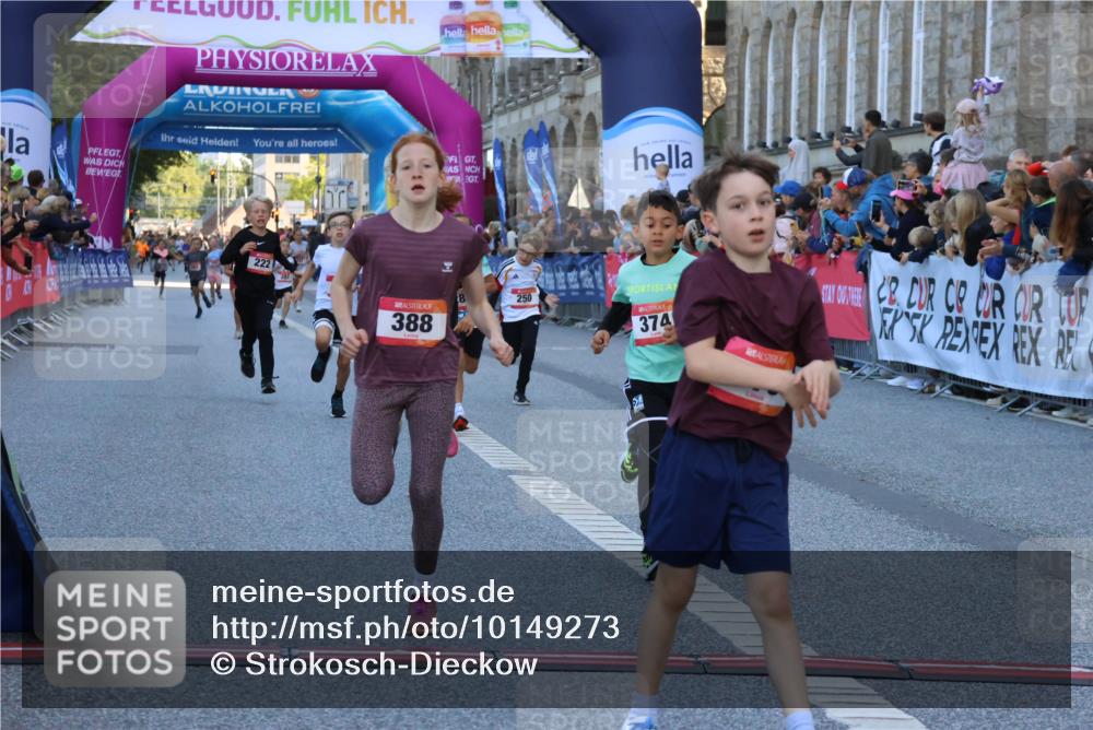 06.09.2026 - CURREX Alsterlauf Strokosch-Dieckow http://msf.ph/oto/10149273 06.09.2026 10:52:53 Ziel 151, 178, 222, 223, 250, 280, 281, 293, 355, 374, 388, 408, 452 meine-sportfotos.de