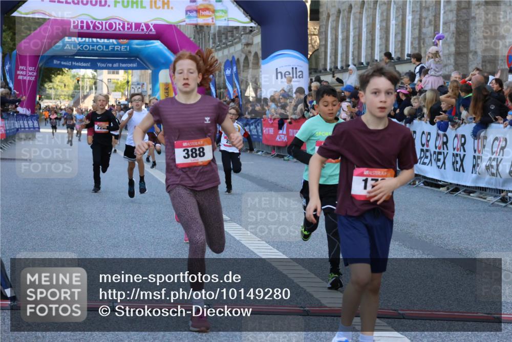06.09.2026 - CURREX Alsterlauf Strokosch-Dieckow http://msf.ph/oto/10149280 06.09.2026 10:52:53 Ziel 151, 178, 222, 223, 250, 280, 281, 293, 355, 374, 388, 408, 452 meine-sportfotos.de