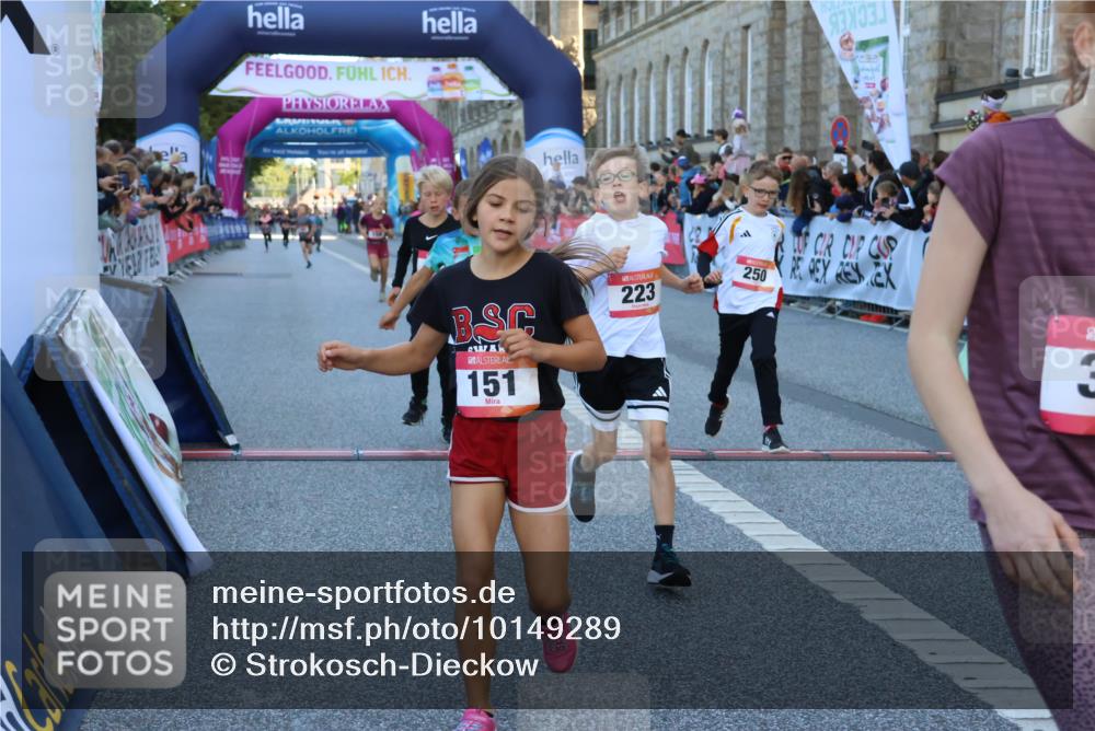06.09.2026 - CURREX Alsterlauf Strokosch-Dieckow http://msf.ph/oto/10149289 06.09.2026 10:52:56 Ziel 151, 158, 178, 222, 223, 250, 251, 280, 293, 374, 388, 430 meine-sportfotos.de