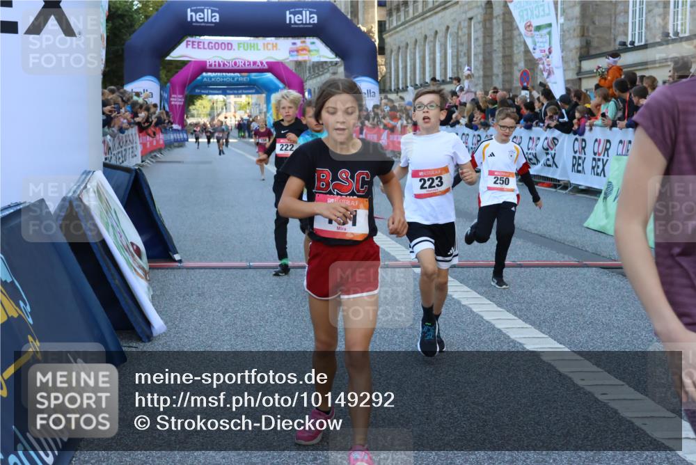 06.09.2026 - CURREX Alsterlauf Strokosch-Dieckow http://msf.ph/oto/10149292 06.09.2026 10:52:57 Ziel 151, 158, 178, 222, 223, 250, 251, 280, 293, 374, 388, 430 meine-sportfotos.de