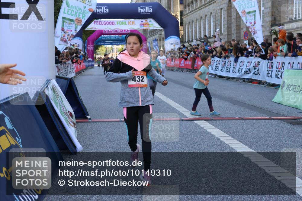 06.09.2026 - CURREX Alsterlauf Strokosch-Dieckow http://msf.ph/oto/10149310 06.09.2026 10:53:09 Ziel 168, 170, 183, 246, 247, 272, 282, 303, 432 meine-sportfotos.de