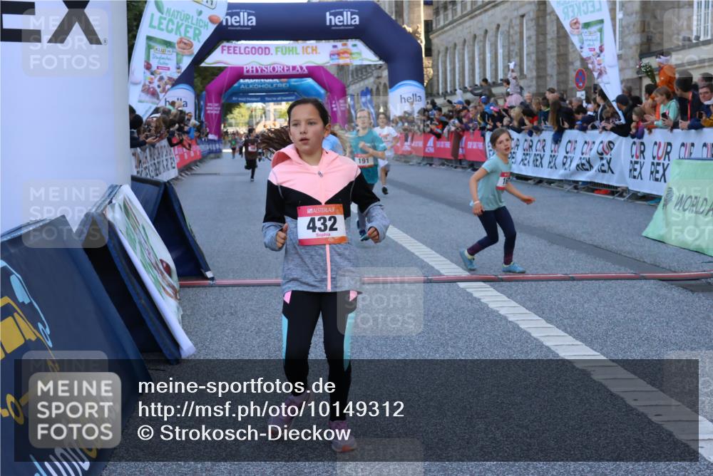 06.09.2026 - CURREX Alsterlauf Strokosch-Dieckow http://msf.ph/oto/10149312 06.09.2026 10:53:10 Ziel 168, 170, 183, 246, 247, 272, 282, 303, 309, 432 meine-sportfotos.de