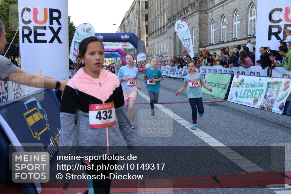 06.09.2026 - CURREX Alsterlauf Strokosch-Dieckow http://msf.ph/oto/10149317 06.09.2026 10:53:11 Ziel 168, 170, 183, 246, 247, 272, 303, 309, 432, 8182 meine-sportfotos.de