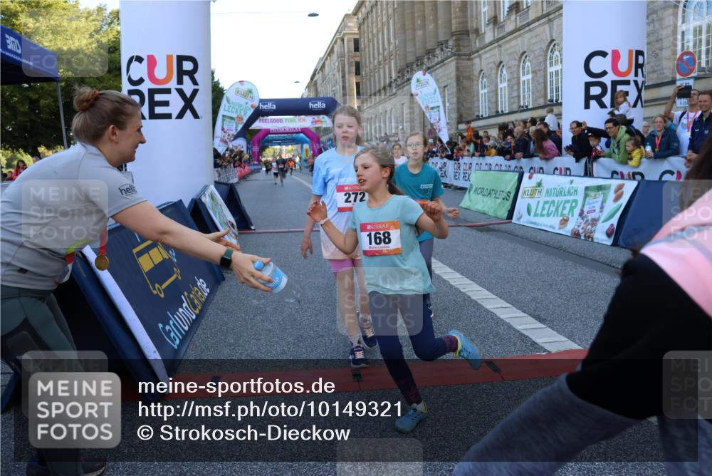 06.09.2026 - CURREX Alsterlauf Strokosch-Dieckow http://msf.ph/oto/10149321 06.09.2026 10:53:12 Ziel 168, 170, 183, 247, 272, 303, 309, 432, 8182 meine-sportfotos.de