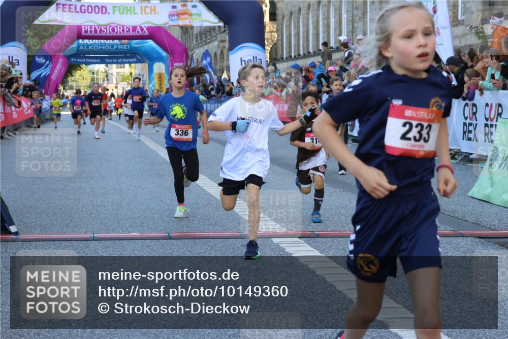 06.09.2026 - CURREX Alsterlauf Strokosch-Dieckow http://msf.ph/oto/10149360 06.09.2026 10:53:29 Ziel 175, 186, 190, 227, 233, 263, 275, 314, 317, 336, 338, 397, 420, 8124, 8180, 8262, 8329 meine-sportfotos.de