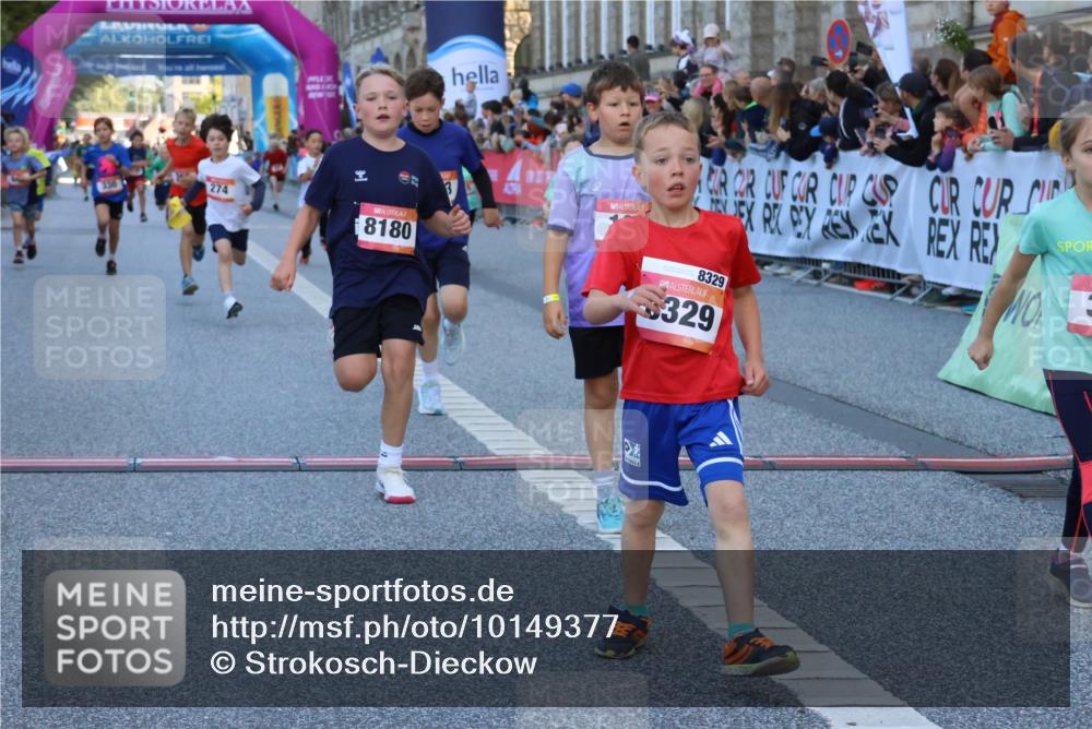 06.09.2026 - CURREX Alsterlauf Strokosch-Dieckow http://msf.ph/oto/10149377 06.09.2026 10:53:33 Ziel 190, 227, 233, 263, 266, 274, 275, 306, 314, 330, 336, 338, 402, 415, 445, 8124, 8180, 8181, 8329 meine-sportfotos.de