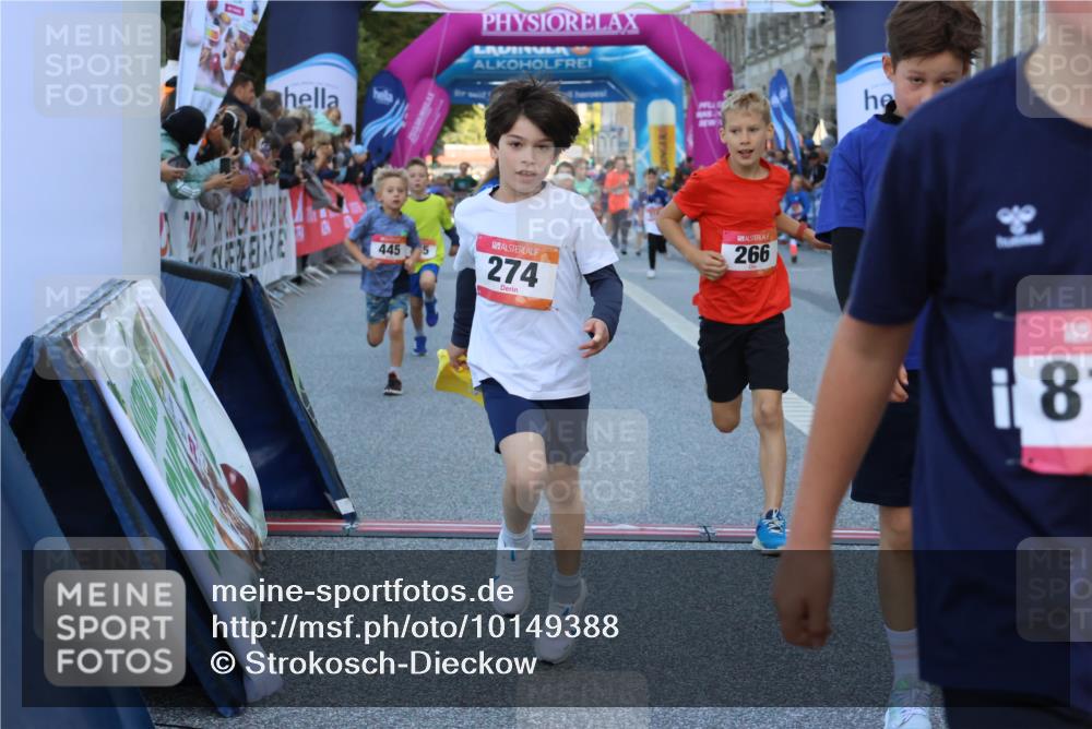 06.09.2026 - CURREX Alsterlauf Strokosch-Dieckow http://msf.ph/oto/10149388 06.09.2026 10:53:36 Ziel 159, 190, 219, 263, 265, 266, 274, 275, 306, 314, 330, 336, 338, 402, 415, 445, 8124, 8180, 8181, 8329 meine-sportfotos.de