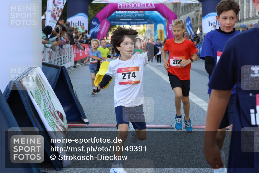 06.09.2026 - CURREX Alsterlauf Strokosch-Dieckow http://msf.ph/oto/10149391 06.09.2026 10:53:36 Ziel 159, 190, 219, 263, 265, 266, 274, 275, 306, 314, 330, 336, 338, 402, 415, 445, 8124, 8180, 8181, 8329 meine-sportfotos.de