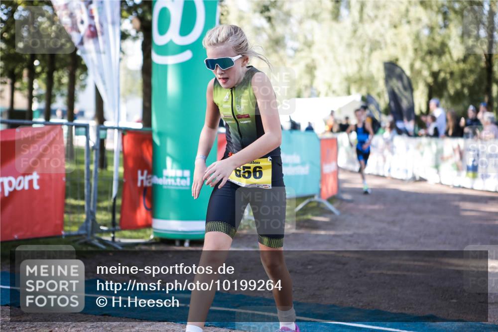 06.09.2026 - 20. Norderstedt Triathlon H.Heesch http://msf.ph/oto/10199264 06.09.2026 09:48:04 Ziel 633, 656, 673 meine-sportfotos.de