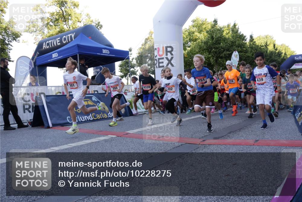 06.09.2026 - CURREX Alsterlauf Yannick Fuchs http://msf.ph/oto/10228275 06.09.2026 10:48:42 Ziel  meine-sportfotos.de