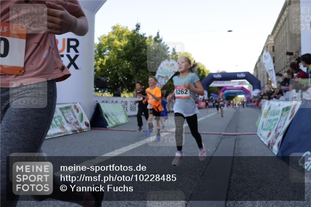06.09.2026 - CURREX Alsterlauf Yannick Fuchs http://msf.ph/oto/10228485 06.09.2026 10:53:22 Ziel 175, 186, 204, 210, 227, 233, 309, 317, 397, 420, 8182, 8220, 8262 meine-sportfotos.de