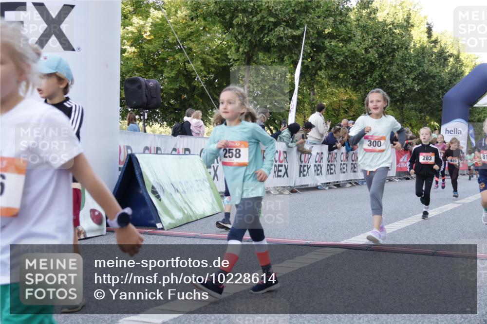 06.09.2026 - CURREX Alsterlauf Yannick Fuchs http://msf.ph/oto/10228614 06.09.2026 10:54:13 Ziel 201, 202, 206, 256, 258, 260, 270, 276, 283, 300, 312, 321, 347, 416, 417, 436, 440, 446, 449, 455, 8113, 8174, 8253 meine-sportfotos.de