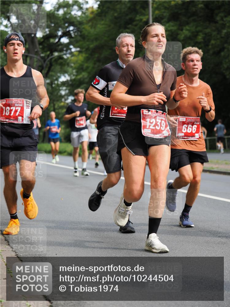 13.09.2026 - 21. swb-Marathon Bremen TobiasT http://msf.ph/oto/10244504 13.09.2026 11:50:01 Laufen 1877, 1877, 1239, 0196, 666 meine-sportfotos.de