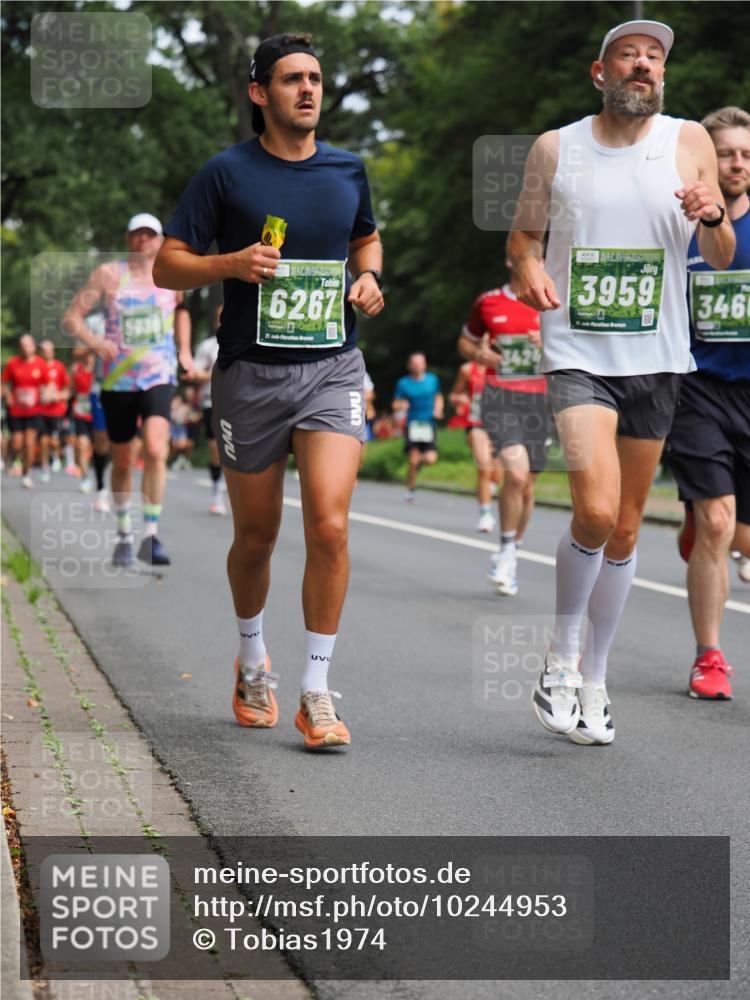 13.09.2026 - 21. swb-Marathon Bremen TobiasT http://msf.ph/oto/10244953 13.09.2026 11:53:30 Laufen 6267, 21, 3424, 3959, 21, 346 meine-sportfotos.de