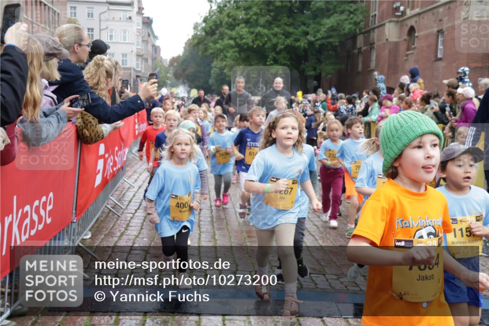 13.09.2026 - Kiel Lauf Yannick Fuchs http://msf.ph/oto/10273200 13.09.2026 08:36:00 Ziel 119, 741, 1690, 1850, 2618, 2882, 2911, 3100, 3762, 5028, 5146, 5181, 5566, 5827, 5905, 5990, 6446, 6508, 6589, 6741, 7383, 7573, 7781, 9023, 9026, 9234, 10043, 10351, 10576, 10642, 10922, 11203, 11639, 12203, 12205, 12227, 12354, 165, 304, 705, 865, 1152, 1216, 1240, 1308, 1516, 1691, 2018, 2619, 2652, 2684, 3144, 3160, 3236, 3556, 4030, 4319, 4381, 4924, 5090, 5245, 5343, 5853, 6833, 7628, 8009, 8301, 8340, 8539, 8815, 8988, 464, 569, 740, 858, 865, 3160 meine-sportfotos.de