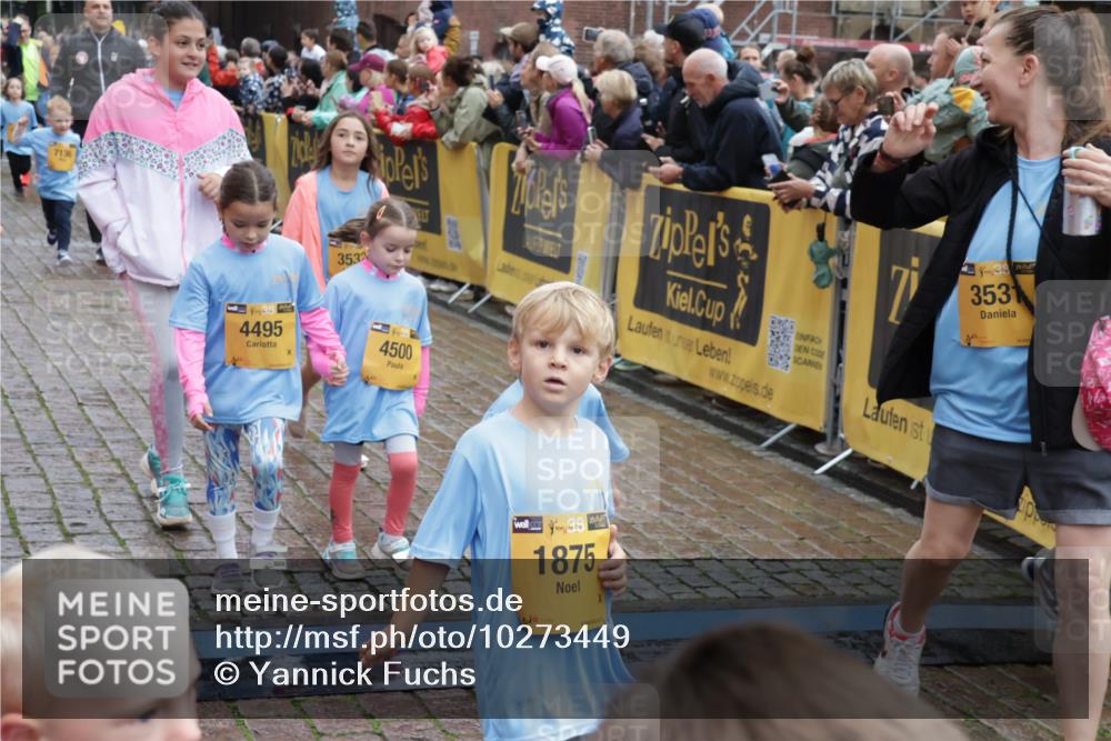 13.09.2026 - Kiel Lauf Yannick Fuchs http://msf.ph/oto/10273449 13.09.2026 08:36:10 Ziel 440, 464, 569, 690, 740, 832, 858, 1551, 1552, 2310, 2328, 2621, 2911, 3053, 3149, 3689, 3746, 3762, 4007, 4473, 4474, 5146, 5308, 5481, 5499, 5905, 5990, 6022, 6101, 6171, 6589, 6741, 6838, 7147, 7383, 7573, 7634, 7781, 7842, 7908, 8638, 9026, 9234, 9252, 10043, 10111, 10147, 10351, 10576, 10642, 11203, 11577, 11639, 12203, 12336, 12558, 119, 165, 304, 705, 741, 1152, 1240, 1516, 1690, 1850, 2018, 2618, 2619, 2684, 2882, 3236, 3556, 4030, 4319, 4924, 5245, 5343, 5853, 8301 meine-sportfotos.de
