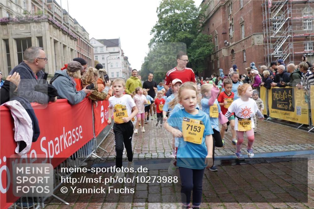 13.09.2026 - Kiel Lauf Yannick Fuchs http://msf.ph/oto/10273988 13.09.2026 08:36:33 Ziel 516, 874, 1407, 1727, 1829, 2464, 3088, 3246, 3532, 3868, 4495, 4500, 5658, 6308, 6452, 6469, 6470, 6474, 6475, 6983, 7059, 7136, 7811, 8804, 9505, 10064, 10891, 11592, 11782, 12504, 71, 308, 440, 464, 465, 569, 690, 740, 832, 858, 923, 1551, 1552, 1648, 1690, 1875, 2310, 2328, 2618, 2621, 2911, 3053, 3149, 3434, 3656, 3689, 4002, 4007, 4473, 4474, 4495, 4500, 5481, 5486, 5499, 5842, 6022, 6101, 6143, 6491, 7128, 1031, 1690, 2618, 3762, 5990, 6446 meine-sportfotos.de
