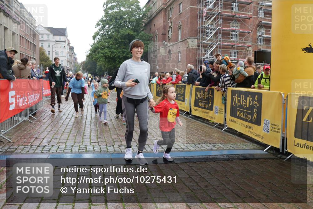 13.09.2026 - Kiel Lauf Yannick Fuchs http://msf.ph/oto/10275431 13.09.2026 08:37:56 Ziel 236, 278, 1807, 2936, 4490, 5199, 5709, 5887, 7283, 7612, 9887, 10478, 11899, 52, 593, 751, 781, 1212, 1214, 1221, 1233, 1621, 2025, 2036, 2567, 2858, 3071, 3262, 3521, 4379, 5186, 5290, 6149, 6358, 6457, 6458, 6624, 7183, 9941, 12066, 12469, 12470, 12651, 12657, 12838, 281, 4085, 4734, 7477, 8382, 8428, 9791, 9921, 11412, 11810, 12581, 751, 781, 1233, 2025, 2229, 2567, 3252, 4018, 4705, 5722, 6272, 6358, 7183, 7184, 8612, 8907, 10800, 11236, 12469 meine-sportfotos.de