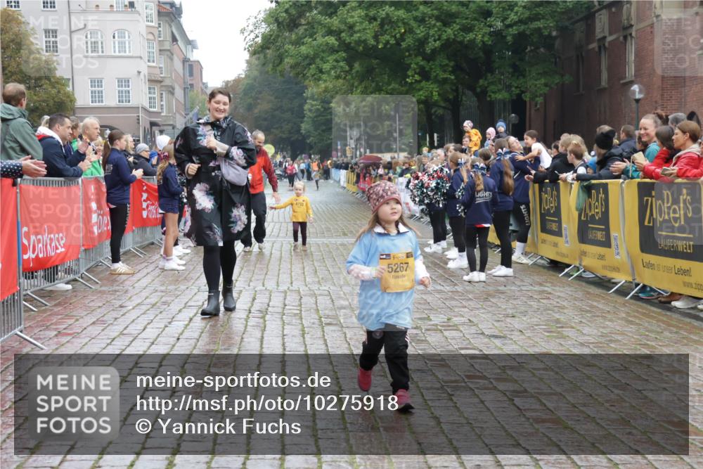 13.09.2026 - Kiel Lauf Yannick Fuchs http://msf.ph/oto/10275918 13.09.2026 08:38:59 Ziel 2355, 5216, 2355, 4423, 9149, 10005, 5267, 4423 meine-sportfotos.de