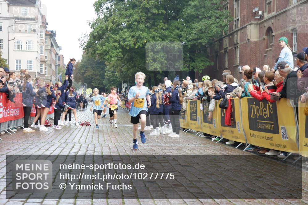 13.09.2026 - Kiel Lauf Yannick Fuchs http://msf.ph/oto/10277775 13.09.2026 08:50:52 Ziel 497, 2125, 3106, 5792, 5959, 9612, 10957, 10987, 2443, 3167, 3487, 5792, 7511, 10359, 496, 1724, 2343, 10463, 10970, 11688, 3167, 8786, 11542 meine-sportfotos.de