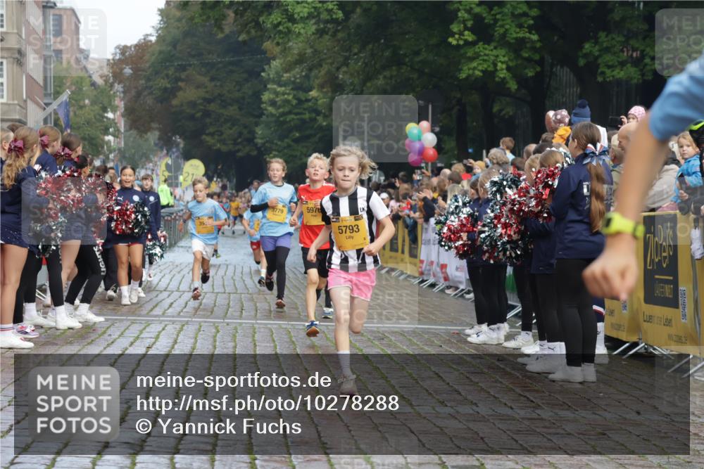 13.09.2026 - Kiel Lauf Yannick Fuchs http://msf.ph/oto/10278288 13.09.2026 08:51:16 Ziel 909, 1238, 1724, 3683, 4159, 4741, 5010, 7033, 10463, 10970, 11688, 496, 497, 2125, 2343, 3106, 5792, 5959, 9612, 10957, 10987, 444, 1243, 5211, 5439, 5793, 5906, 6699, 8206, 8657, 8883, 9379, 9929, 2443, 5792 meine-sportfotos.de