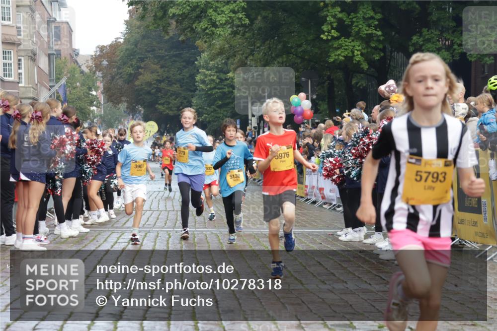 13.09.2026 - Kiel Lauf Yannick Fuchs http://msf.ph/oto/10278318 13.09.2026 08:51:18 Ziel 909, 1238, 3683, 4159, 4741, 5010, 5211, 7033, 10463, 11688, 496, 497, 1724, 2125, 2343, 3106, 5959, 9612, 10957, 10970, 10987, 444, 1243, 3901, 5130, 5439, 5793, 5906, 5976, 6699, 8206, 8657, 8883, 9379, 9929, 497, 2125, 2443, 3106, 5792, 9612 meine-sportfotos.de