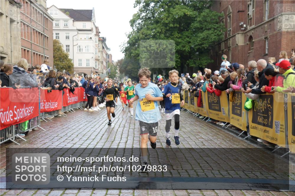 13.09.2026 - Kiel Lauf Yannick Fuchs http://msf.ph/oto/10279833 13.09.2026 08:52:58 Ziel 237, 1263, 2402, 2609, 5147, 5149, 5373, 5405, 6210, 6283, 6579, 7025, 7085, 7423, 7611, 10024, 10627, 10991, 11706, 12397, 12488, 1799, 2613, 3782, 4158, 4668, 5075, 5121, 5334, 6517, 7881, 7894, 8745, 10396, 10414, 10779, 11248, 12454, 12460, 2985, 3316, 3419, 4060, 4756, 5342, 5436, 6103, 8018, 8510, 8541, 8601, 8819, 10390, 1647, 1809, 3871, 6517, 6937, 9381, 10102, 11752 meine-sportfotos.de
