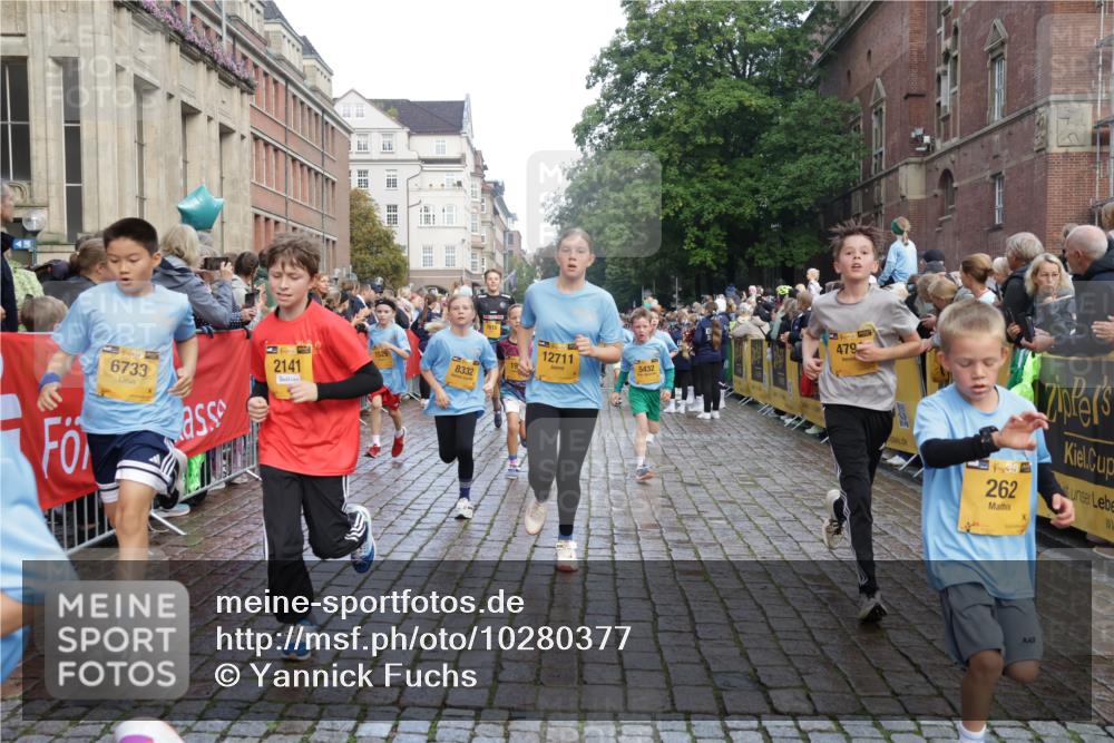 13.09.2026 - Kiel Lauf Yannick Fuchs http://msf.ph/oto/10280377 13.09.2026 08:53:36 Ziel 888, 1149, 1159, 2016, 2614, 3210, 3328, 5120, 5177, 5455, 6004, 6894, 6979, 7240, 7635, 8024, 8525, 8671, 8857, 8968, 9816, 10122, 10997, 11185, 11593, 11830, 12548, 347, 1919, 2570, 2743, 2985, 3316, 3419, 4060, 4291, 4756, 5284, 5342, 5344, 5436, 6103, 6579, 6846, 7085, 7170, 7875, 8018, 8095, 8510, 8541, 8601, 8819, 8947, 9410, 10390, 11455, 12168, 193, 258, 262, 1332, 1529, 1823, 2141, 2447, 3234, 4607, 4791, 5432, 6267, 6628, 6702, 10024 meine-sportfotos.de