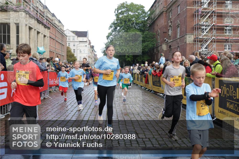 13.09.2026 - Kiel Lauf Yannick Fuchs http://msf.ph/oto/10280388 13.09.2026 08:53:36 Ziel 888, 1149, 1159, 2016, 2614, 3210, 3328, 5120, 5177, 5455, 6004, 6894, 6979, 7240, 7635, 8024, 8525, 8671, 8857, 8968, 9816, 10122, 10997, 11185, 11593, 11830, 12548, 347, 1919, 2570, 2743, 2985, 3316, 3419, 4060, 4291, 4756, 5284, 5342, 5344, 5436, 6103, 6579, 6846, 7085, 7170, 7875, 8018, 8095, 8510, 8541, 8601, 8819, 8947, 9410, 10390, 11455, 12168, 193, 258, 262, 1332, 1529, 1823, 2141, 2447, 3234, 4607, 4791, 5432, 6267, 6628, 6702, 10024 meine-sportfotos.de