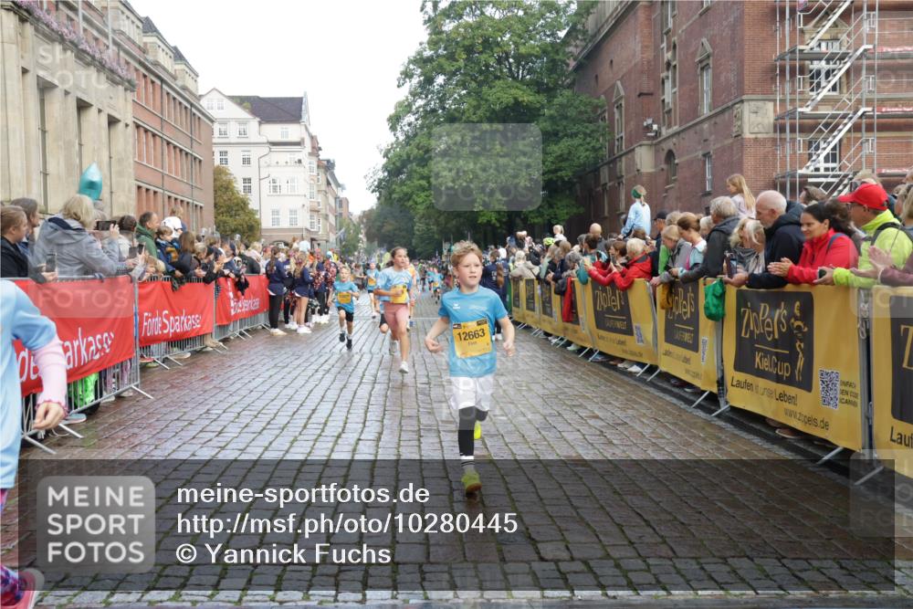 13.09.2026 - Kiel Lauf Yannick Fuchs http://msf.ph/oto/10280445 13.09.2026 08:53:42 Ziel 888, 1149, 1332, 2016, 2447, 3234, 5120, 5455, 6004, 6702, 8024, 8525, 8671, 8968, 9816, 10997, 11170, 11593, 11830, 12511, 12548, 12828, 347, 1159, 1919, 2570, 2614, 2743, 2985, 3210, 3316, 3328, 3419, 4060, 4291, 5177, 5284, 5342, 5344, 5436, 6103, 6846, 6894, 6979, 7170, 7240, 7635, 7875, 8095, 8541, 8601, 8819, 8857, 8947, 9410, 10122, 10390, 11185, 11455, 12168, 120, 193, 258, 262, 1529, 1823, 2141, 4607, 4791, 5432, 6267, 6628, 5342, 8601 meine-sportfotos.de