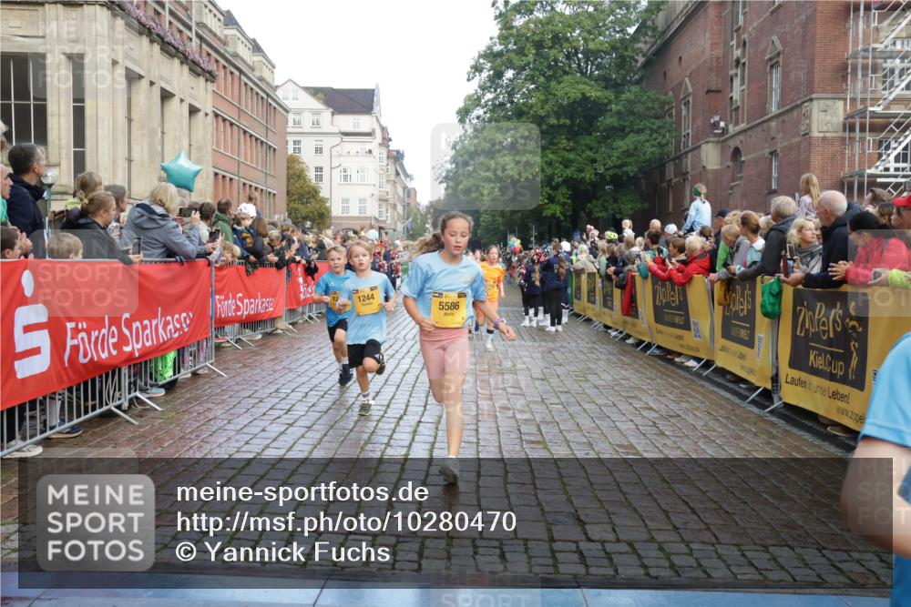 13.09.2026 - Kiel Lauf Yannick Fuchs http://msf.ph/oto/10280470 13.09.2026 08:53:44 Ziel 888, 1149, 1332, 2447, 3234, 5120, 5455, 6004, 6628, 6702, 8024, 8525, 8671, 8968, 9816, 10997, 11170, 11593, 11830, 12511, 12548, 12828, 347, 1159, 1919, 2016, 2570, 2614, 2743, 2985, 3210, 3316, 3328, 3419, 4060, 4291, 5177, 5284, 5344, 5436, 5455, 6103, 6846, 6894, 6979, 7170, 7240, 7635, 7875, 8095, 8541, 8819, 8857, 8947, 9410, 10122, 10390, 11185, 11455, 11830, 12168, 120, 193, 258, 262, 1529, 1823, 2141, 4607, 4791, 5432, 6267, 5342, 8601 meine-sportfotos.de