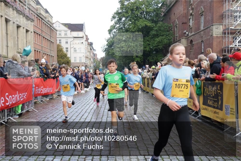 13.09.2026 - Kiel Lauf Yannick Fuchs http://msf.ph/oto/10280546 13.09.2026 08:53:51 Ziel 193, 258, 262, 1332, 1529, 1823, 2141, 2447, 3234, 4607, 4791, 5120, 5432, 6267, 6628, 6702, 6733, 7341, 7815, 8006, 8332, 8671, 9266, 10726, 10997, 11170, 12511, 12548, 12711, 12828, 347, 888, 1149, 1159, 1919, 2016, 2570, 2614, 2743, 3210, 3328, 3419, 4291, 5120, 5177, 5284, 5344, 5455, 6004, 6103, 6846, 6894, 6979, 7170, 7240, 7635, 7875, 8024, 8095, 8525, 8541, 8671, 8819, 8857, 8947, 8968, 9410, 9816, 10122, 10997, 11185, 11455, 11593, 11830, 12168, 12548, 120, 488 meine-sportfotos.de