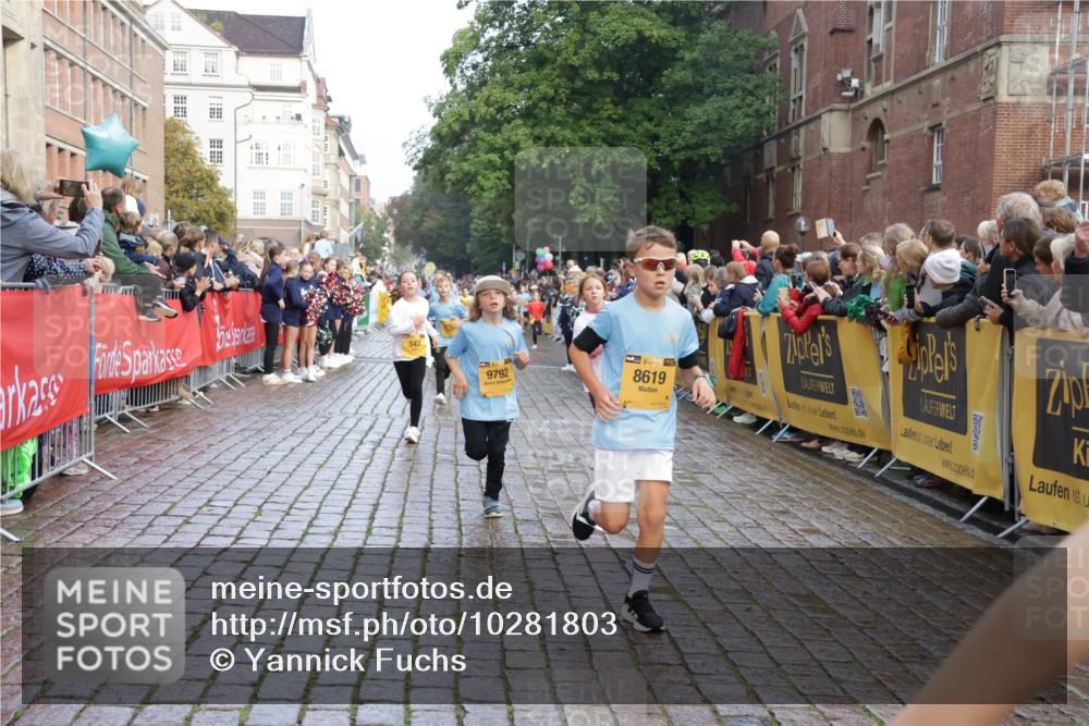 13.09.2026 - Kiel Lauf Yannick Fuchs http://msf.ph/oto/10281803 13.09.2026 08:55:38 Ziel 329, 1150, 1952, 2344, 2453, 2642, 2998, 4122, 5932, 7748, 7852, 7929, 9033, 9302, 10227, 10271, 11439, 11657, 12198, 12530, 12712, 114, 329, 471, 589, 889, 1106, 1109, 1297, 1450, 1489, 1768, 2023, 2026, 2272, 2932, 3218, 3219, 3356, 3693, 3863, 4359, 4760, 4761, 4966, 5212, 5225, 5860, 6206, 6268, 6570, 7072, 7207, 7222, 7601, 7907, 7917, 8027, 8546, 9216, 9344, 10222, 10604, 10716, 10817, 10822, 11071, 11235, 11400, 11469, 11573, 12219, 12349, 277, 1160, 1310 meine-sportfotos.de