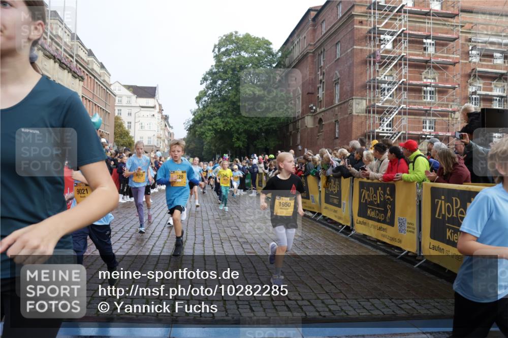13.09.2026 - Kiel Lauf Yannick Fuchs http://msf.ph/oto/10282285 13.09.2026 08:56:13 Ziel 74, 76, 669, 808, 1126, 1346, 1444, 2143, 2197, 2497, 2640, 2685, 3179, 3350, 4165, 5012, 5687, 5759, 5823, 6003, 6212, 6232, 6275, 6591, 6738, 7155, 7390, 7489, 7726, 7769, 8056, 8259, 8544, 8917, 9374, 10803, 11310, 11409, 11995, 12138, 12242, 74, 234, 277, 547, 645, 808, 1150, 1160, 1249, 1310, 1581, 1712, 2453, 2711, 2998, 3253, 3358, 3409, 3454, 4545, 4682, 4755, 5259, 5289, 5297, 5547, 5781, 5876, 6290, 7748, 9033, 9302, 10227, 10271, 10818, 11439, 3750, 4023, 5545 meine-sportfotos.de