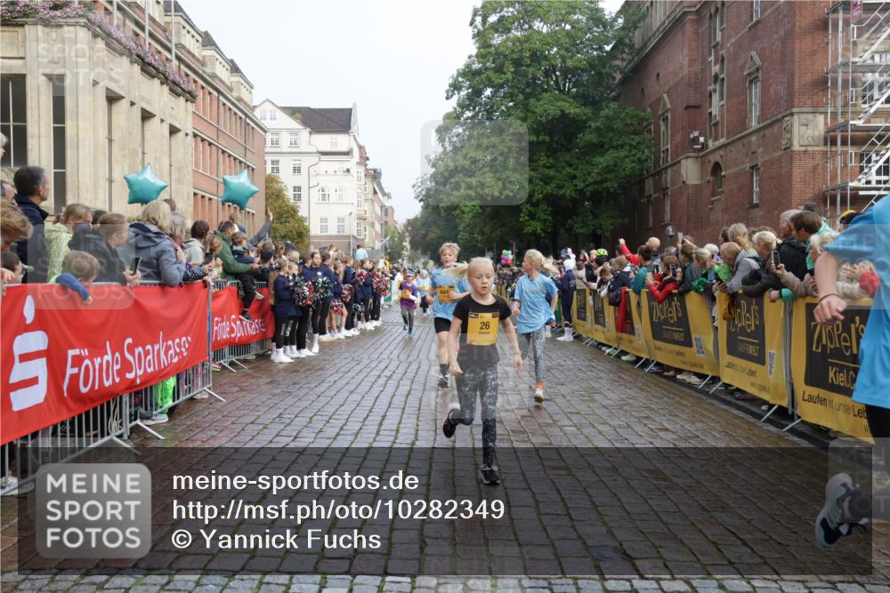 13.09.2026 - Kiel Lauf Yannick Fuchs http://msf.ph/oto/10282349 13.09.2026 08:56:17 Ziel 407, 669, 759, 1346, 2197, 2497, 2640, 2685, 3179, 3350, 3750, 4023, 4165, 5459, 5545, 5687, 5759, 5823, 6003, 6212, 6232, 6275, 6371, 6591, 6738, 7390, 7489, 7702, 7726, 7769, 8056, 8259, 8544, 8917, 9374, 9957, 10610, 10803, 11310, 11409, 12242, 74, 76, 234, 277, 547, 645, 808, 1126, 1150, 1160, 1249, 1310, 1444, 1581, 1712, 2143, 2197, 2711, 2998, 3253, 3358, 3409, 3454, 4545, 4682, 4755, 5012, 5259, 5289, 5297, 5547, 5781, 5876, 6290, 9033, 9302, 10818, 11439 meine-sportfotos.de