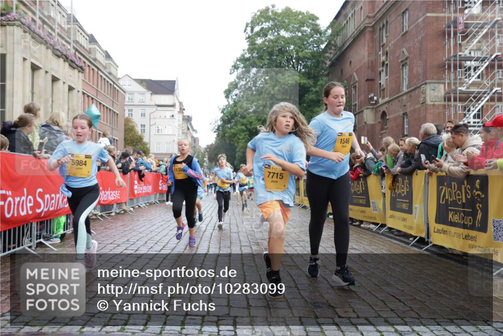 13.09.2026 - Kiel Lauf Yannick Fuchs http://msf.ph/oto/10283099 13.09.2026 08:57:14 Ziel 3382, 5003, 5340, 5719, 5809, 8341, 9542, 10321, 12215, 12512, 81, 139, 482, 653, 899, 1222, 1285, 1340, 1544, 2384, 2478, 2479, 2543, 3034, 3161, 3303, 3305, 3665, 3740, 4136, 4228, 4558, 4680, 4901, 4908, 4925, 5223, 5333, 5340, 5597, 6361, 6807, 6903, 7559, 7752, 7927, 8094, 8270, 8424, 9156, 9292, 9307, 9562, 9564, 9826, 9940, 10042, 10213, 10603, 11423, 11495, 11558, 11627, 11986, 12062, 12455, 160, 1546, 1769, 5006, 5984, 6459, 7715, 9062, 1285, 3520, 4188 meine-sportfotos.de