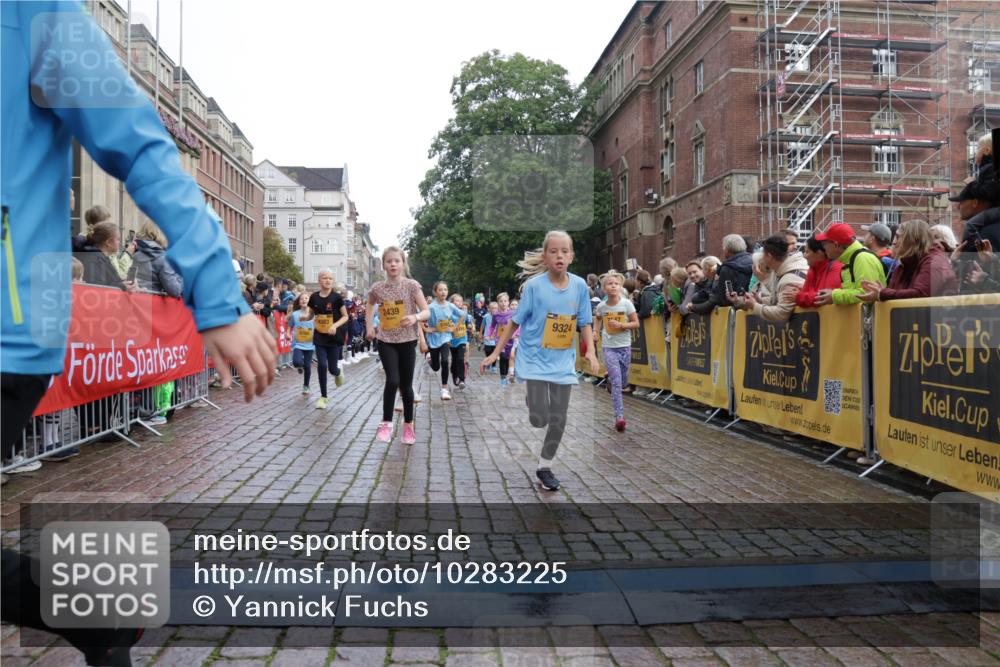 13.09.2026 - Kiel Lauf Yannick Fuchs http://msf.ph/oto/10283225 13.09.2026 08:57:22 Ziel 700, 2128, 2129, 3382, 4834, 7478, 10321, 10892, 81, 482, 653, 1222, 2384, 2479, 2543, 3034, 3161, 3305, 3665, 4558, 4680, 4901, 4908, 4925, 5003, 5223, 5333, 5340, 5719, 5809, 6361, 6807, 6903, 7559, 7752, 7927, 8094, 8341, 8424, 9156, 9307, 9542, 9564, 9826, 9940, 10042, 10321, 10603, 11423, 11495, 11558, 11986, 12062, 12215, 12455, 12512, 160, 406, 689, 1051, 1546, 1714, 1769, 2439, 3359, 4321, 4382, 4383, 5006, 5219, 5244, 5762, 5765, 5984, 6459, 7547, 7608, 7715, 9062 meine-sportfotos.de