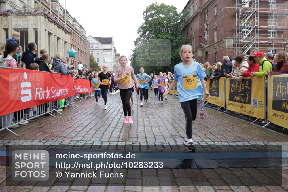 13.09.2026 - Kiel Lauf Yannick Fuchs http://msf.ph/oto/10283233 13.09.2026 08:57:22 Ziel 700, 2128, 2129, 3382, 4834, 7478, 10321, 10892, 81, 482, 653, 1222, 2384, 2479, 2543, 3034, 3161, 3305, 3665, 4558, 4680, 4901, 4908, 4925, 5003, 5223, 5333, 5340, 5719, 5809, 6361, 6807, 6903, 7559, 7752, 7927, 8094, 8341, 8424, 9156, 9307, 9542, 9564, 9826, 9940, 10042, 10321, 10603, 11423, 11495, 11558, 11986, 12062, 12215, 12455, 12512, 160, 406, 689, 1051, 1546, 1714, 1769, 2439, 3359, 4321, 4382, 4383, 5006, 5219, 5244, 5762, 5765, 5984, 6459, 7547, 7608, 7715, 9062 meine-sportfotos.de