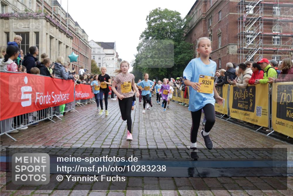 13.09.2026 - Kiel Lauf Yannick Fuchs http://msf.ph/oto/10283238 13.09.2026 08:57:22 Ziel 700, 2128, 2129, 3382, 4834, 7478, 10321, 10892, 81, 482, 653, 1222, 2384, 2479, 2543, 3034, 3161, 3305, 3665, 4558, 4680, 4901, 4908, 4925, 5003, 5223, 5333, 5340, 5719, 5809, 6361, 6807, 6903, 7559, 7752, 7927, 8094, 8341, 8424, 9156, 9307, 9542, 9564, 9826, 9940, 10042, 10321, 10603, 11423, 11495, 11558, 11986, 12062, 12215, 12455, 12512, 160, 406, 689, 1051, 1546, 1714, 1769, 2439, 3359, 4321, 4382, 4383, 5006, 5219, 5244, 5762, 5765, 5984, 6459, 7547, 7608, 7715, 9062 meine-sportfotos.de