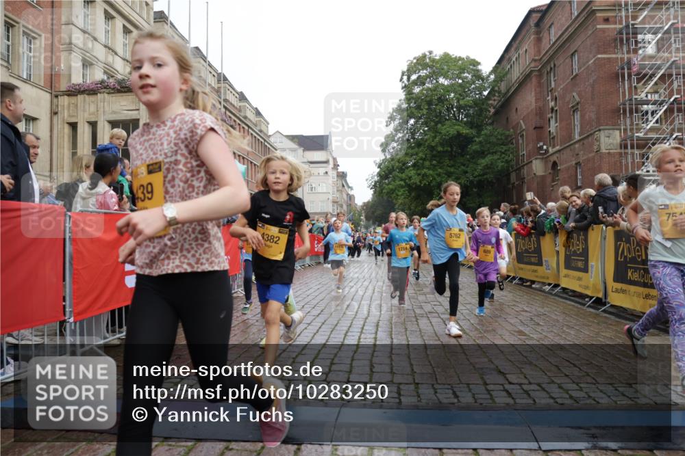 13.09.2026 - Kiel Lauf Yannick Fuchs http://msf.ph/oto/10283250 13.09.2026 08:57:23 Ziel 700, 1769, 2128, 2129, 3382, 4834, 7478, 10892, 81, 482, 653, 1222, 2384, 2479, 2543, 3034, 3161, 3305, 3665, 4558, 4680, 4901, 4908, 5003, 5223, 5333, 5340, 5719, 5809, 6361, 6807, 6903, 7559, 7752, 7927, 8094, 8341, 8424, 9156, 9307, 9542, 9564, 9826, 9940, 10042, 10321, 10603, 11423, 11495, 11558, 11986, 12062, 12215, 12455, 12512, 160, 406, 689, 1051, 1546, 1714, 2439, 3359, 3375, 4321, 4382, 4383, 5006, 5219, 5244, 5762, 5765, 5984, 6459, 7547, 7608, 7609, 7715, 9062 meine-sportfotos.de