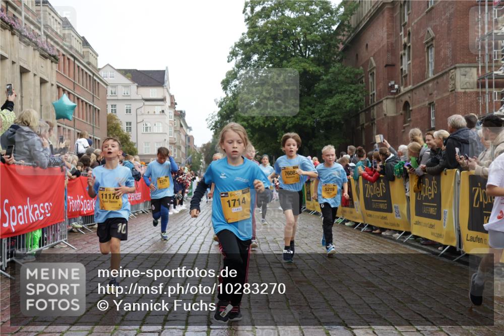 13.09.2026 - Kiel Lauf Yannick Fuchs http://msf.ph/oto/10283270 13.09.2026 08:57:24 Ziel 700, 1769, 2128, 2129, 3382, 4834, 7478, 10892, 81, 482, 653, 1222, 2384, 2479, 2543, 3034, 3161, 3305, 3665, 4558, 4680, 4901, 4908, 5003, 5223, 5333, 5340, 5719, 5809, 6361, 6807, 7559, 7752, 7927, 8094, 8341, 8424, 9156, 9307, 9542, 9564, 9826, 9940, 10042, 10321, 10603, 11423, 11495, 11558, 11986, 12062, 12215, 12455, 12512, 160, 406, 689, 1051, 1546, 1714, 2439, 3359, 3375, 4182, 4321, 4382, 4383, 5006, 5219, 5244, 5762, 5765, 5984, 6459, 7547, 7608, 7609, 7715, 9062 meine-sportfotos.de