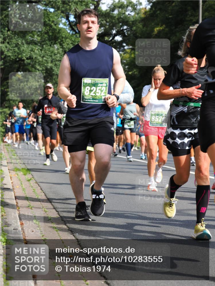 13.09.2026 - 21. swb-Marathon Bremen TobiasT http://msf.ph/oto/10283555 13.09.2026 12:05:25 Laufen 548, 8252, 21, 26, 8526, 222 meine-sportfotos.de