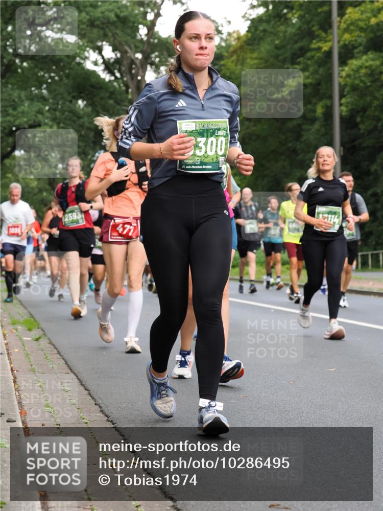 13.09.2026 - 21. swb-Marathon Bremen TobiasT http://msf.ph/oto/10286495 13.09.2026 12:18:09 Laufen 2593, 471, 300, 21, 17114 meine-sportfotos.de