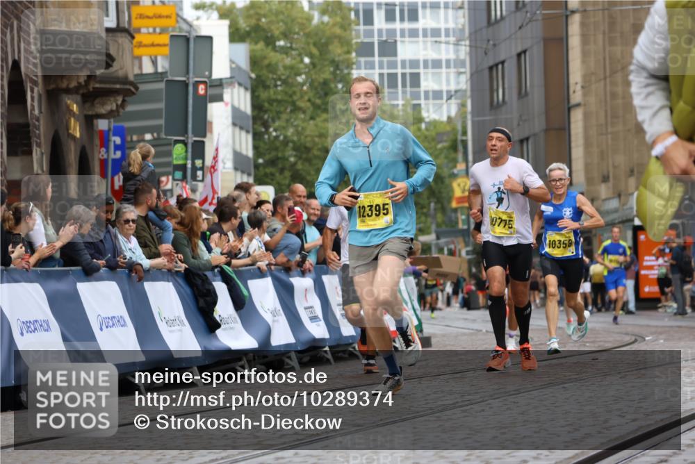 13.09.2026 - 21. swb-Marathon Bremen Strokosch-Dieckow http://msf.ph/oto/10289374 13.09.2026 10:42:33 Ziel 11630, 11895, 12426, 12525, 13585, 10312, 10816, 11779, 12281 meine-sportfotos.de