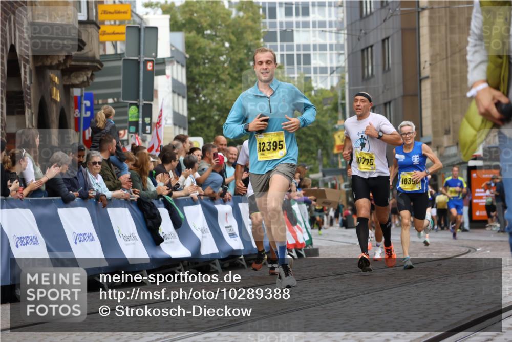 13.09.2026 - 21. swb-Marathon Bremen Strokosch-Dieckow http://msf.ph/oto/10289388 13.09.2026 10:42:33 Ziel 11630, 11895, 12426, 12525, 13585, 10312, 10816, 11779, 12281 meine-sportfotos.de