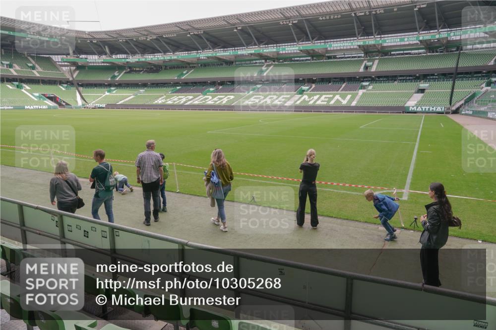 13.09.2026 - 21. swb-Marathon Bremen Michael Burmester http://msf.ph/oto/10305268 13.09.2026 11:21:21 Laufen im Stadion  meine-sportfotos.de