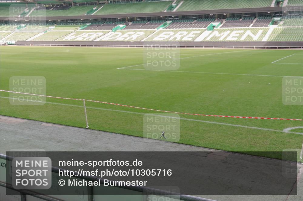 13.09.2026 - 21. swb-Marathon Bremen Michael Burmester http://msf.ph/oto/10305716 13.09.2026 11:56:17 Laufen im Stadion 133 meine-sportfotos.de